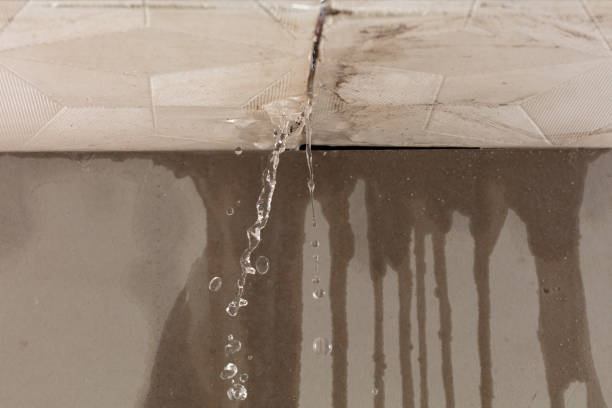 Professional Structural Drying technician working in Dunkirk, NY